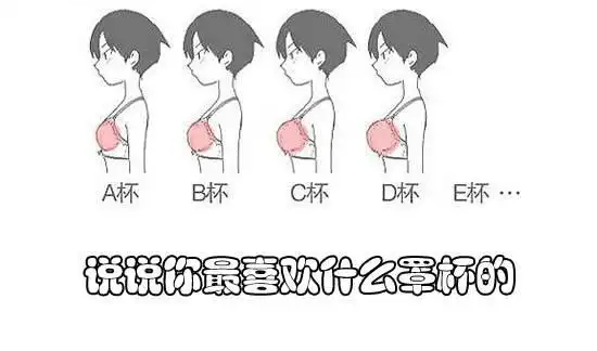聊天吧_关于女生的罩杯问题,真是有事没事都可以看到类似的调查,但