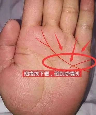 容易离婚的手相,有的话一定要注意了!__凤凰网