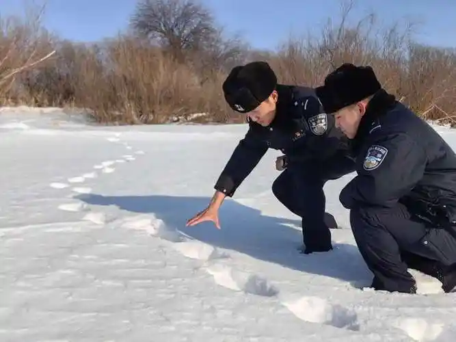 "大脑斧""傻狍子""白色神兽"……珍稀动物为啥频频现身?