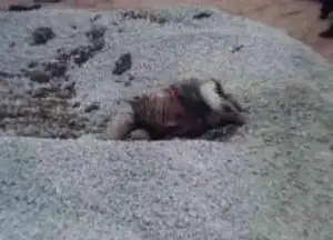 《"天堂"血案》 (11月2日20:45播出)