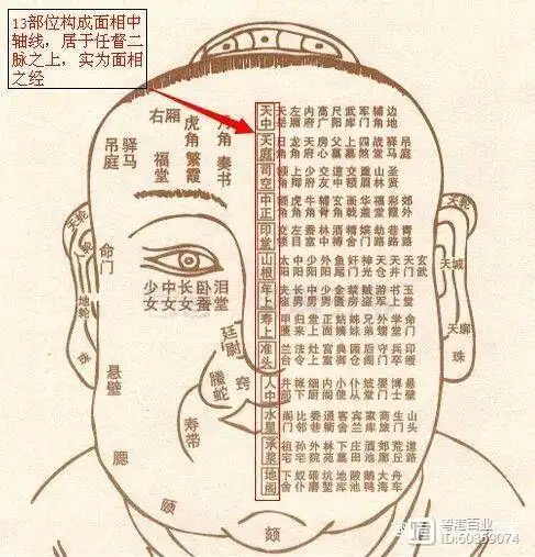 主要包含相术的基本原理和面相特征,名词解释及五宫部位图,十三部位