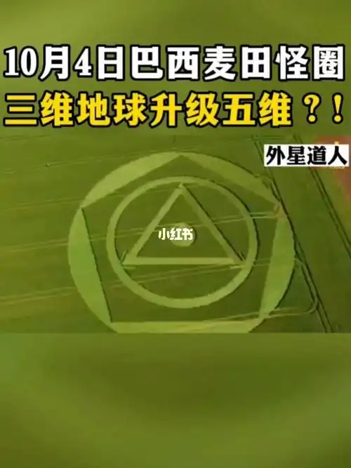 外星人  #ufo  #麦田怪圈