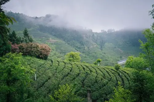北纬30度太神奇了,十堰竹溪这三省交界之地太适合旅游度假了