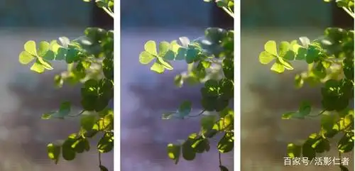 摄影技巧:详解自动包围曝光与白平衡包围曝光,很多摄影师都在用