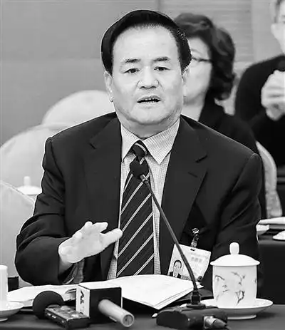 全国人大代表四平红嘴集团总公司总裁党委书记卢志民