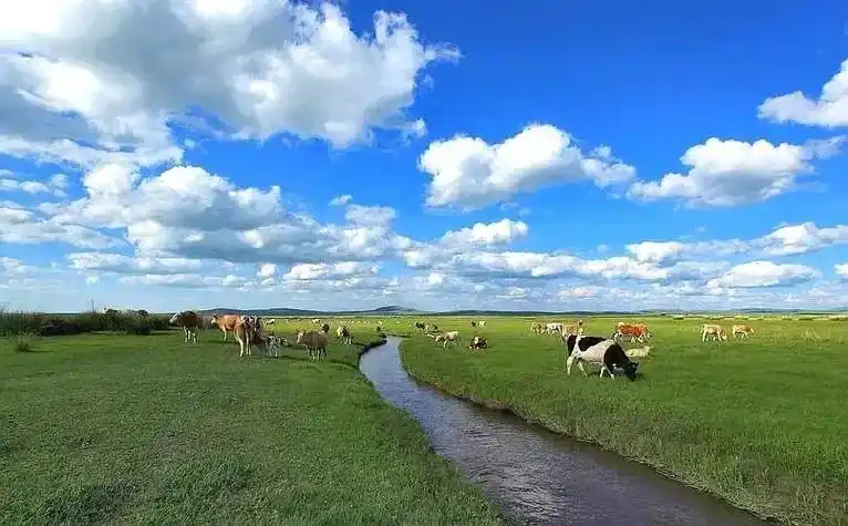 图片分享: 蓝天  白云  草原  牛羊  白云悠悠朵朵新, - 抖音