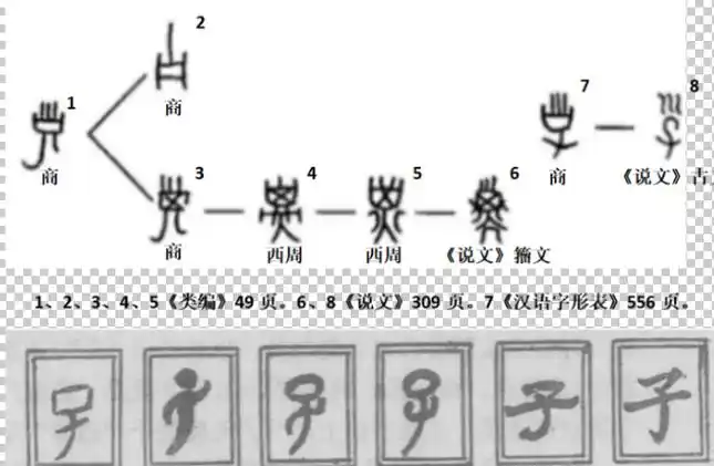 子字的由来是什么?