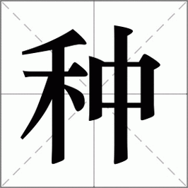 种怎么读_种组词_种的解释_读音_笔顺_拼音_笔画_繁体字