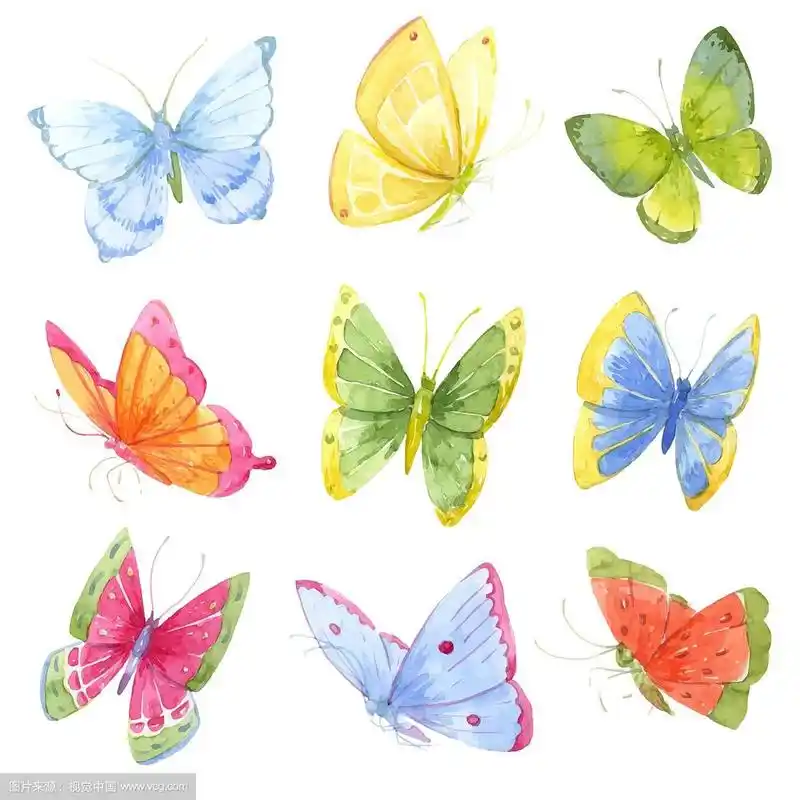 五颜六色的水彩蝴蝶