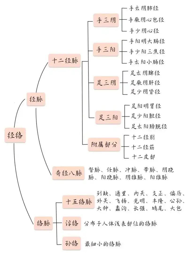 你不知道的瑜伽与中医养生之瑜伽作用于经络经络,是经脉和络脉的壮破