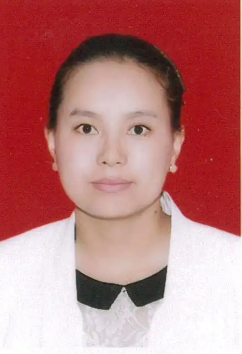 可视化分析_扎西措姆_西藏大学机构知识库