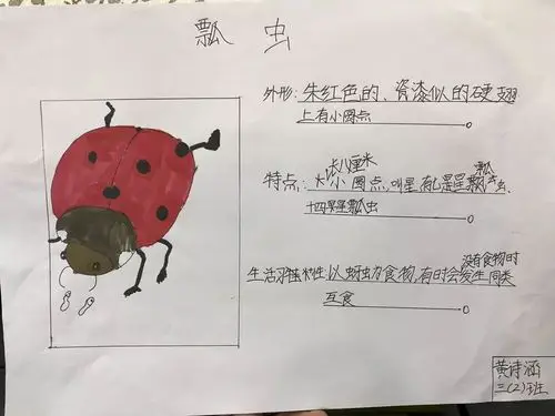 惊蛰雷鸣春醒三年二班春耕忙