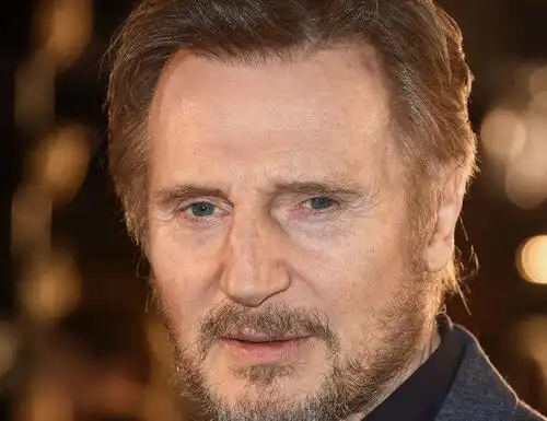 飓风营救主演连姆尼森,对自己关于黑人的不当言语公开道歉