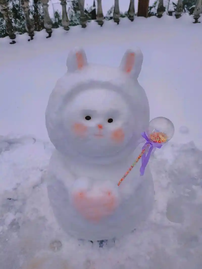 又下雪啦#雪人#可爱#分享照片 #20220222中国式浪漫 - 抖音