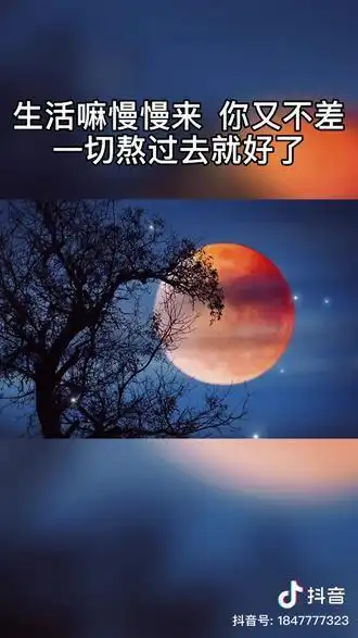 夜已沉默心事向谁说 #深夜语录 - 抖音