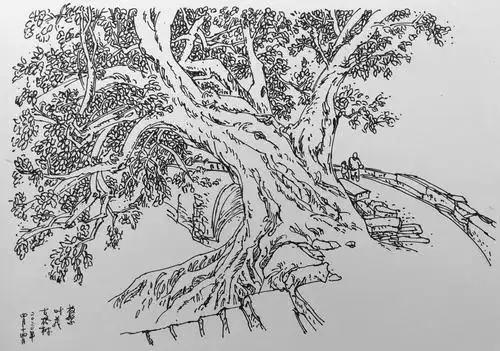 6)黄艾《水性笔风景速写》临摹2(2020.3-2020.12)