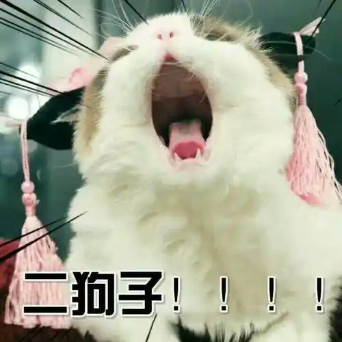 (猫咪呼喊)_猫咪_狗子_呼喊表情