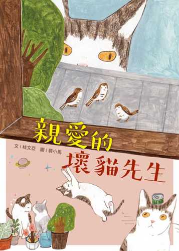 现货 桂文亚 爱的坏猫先生 国语日报ndd