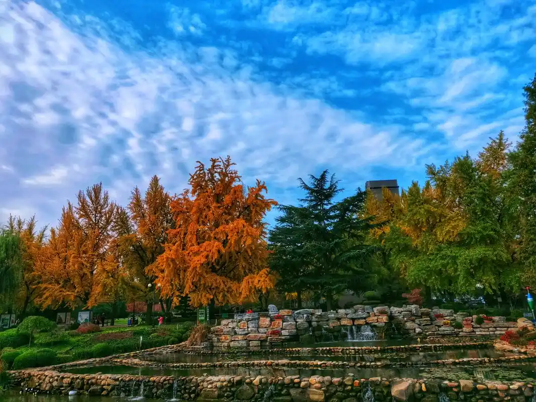 大连儿童公园的秋