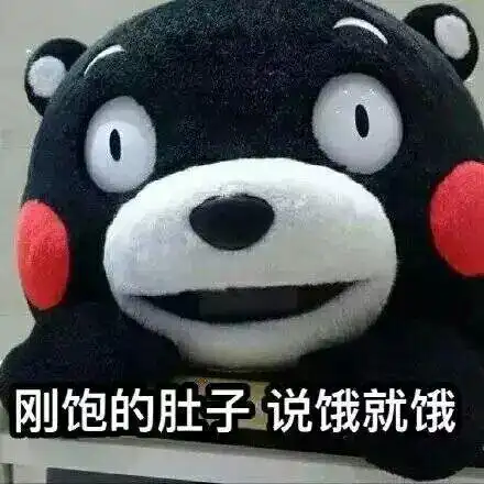 刚饱的肚子说饿就饿熊本熊