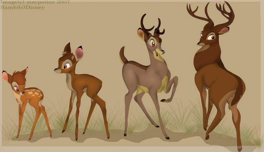 鹿王的教育智慧小鹿斑比教材解读