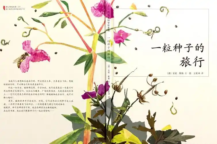 适合幼龄宝贝的生物启蒙小科普一粒种子的旅行