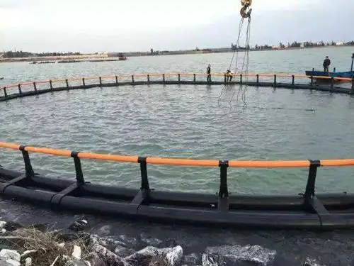 鱼世界抗风浪大型深海圆形养殖网箱设备海洋养鱼网箱产品定制