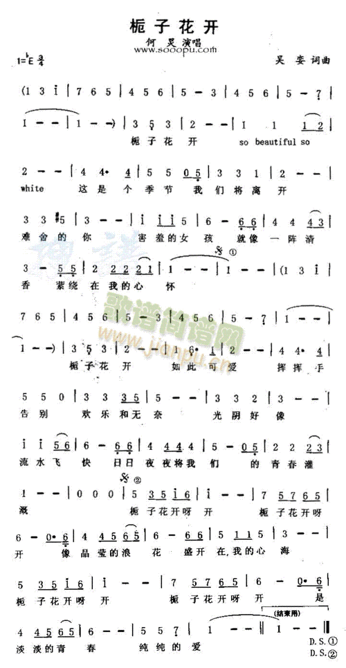 桅子花开 歌谱简谱网