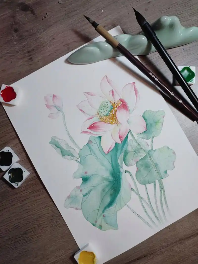 古风水彩荷花‖内附详细步骤和线稿 纸:尊爵细纹 颜料:飞乐鸟鸾.