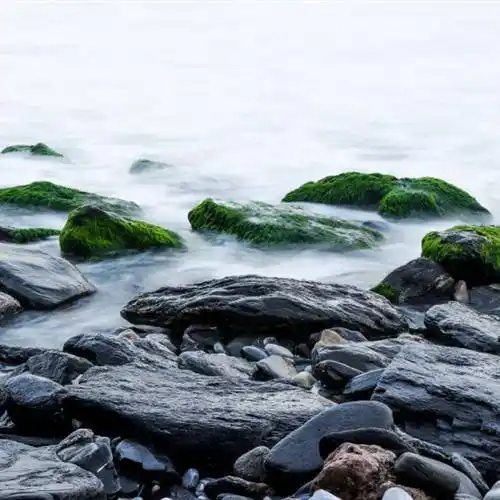 意境风景头像,海边的石头图片_头像_石头_风景