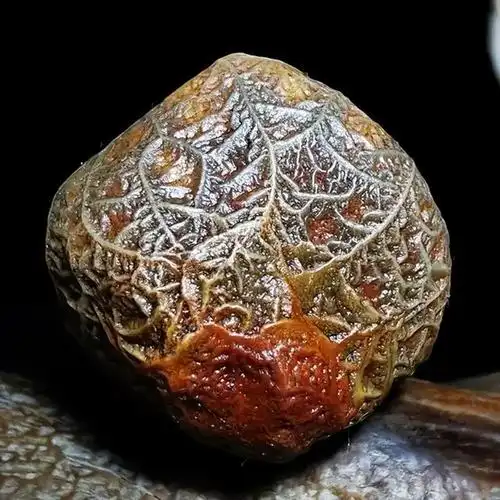 路上看到这7种石头建议不要扔也许是难得的珍藏