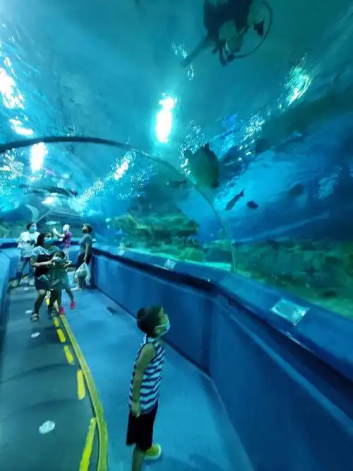北京富国海底世界体验