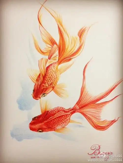 虾大仙-花瓣网|陪你做生活的设计师 | 水墨毛笔金鱼背景