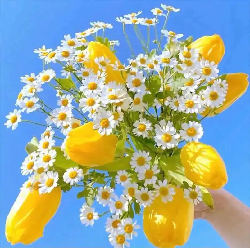 喜欢用花草照片做微信头像的人,大多是喜欢干净的人,这样的人喜 - 抖