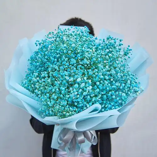 抖音网红满天星大干花束合肥鲜花速递同城鲜花速递(同城)