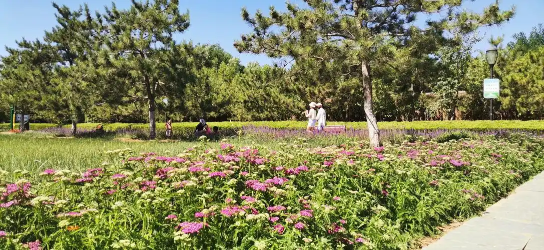 燕郊公园,生态大氧吧