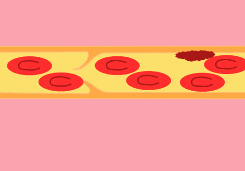 500_349gif 动态图 动图