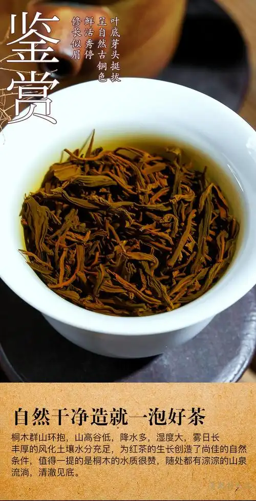 2021新茶正山小种红茶叶散装礼盒装浓香型野茶500克sn7002