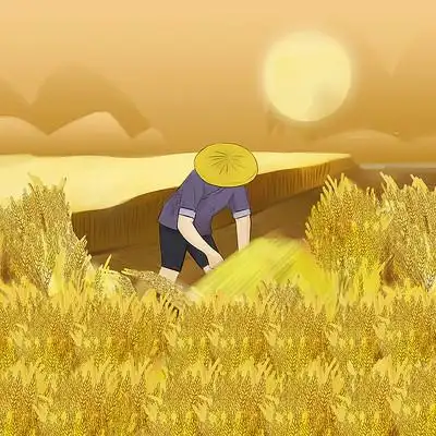 金黄色农民在稻田收割稻谷秋季大丰收插画