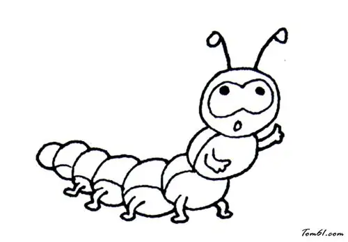 毛毛虫3