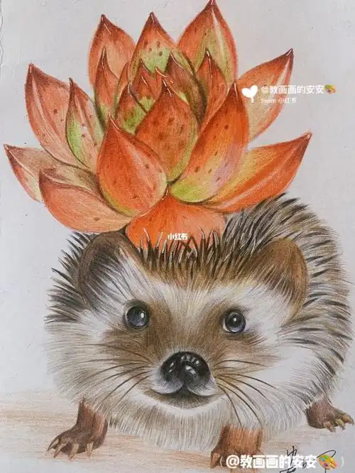 第二张滤镜下的小刺猬也很可爱呀临摹作品用时:3.