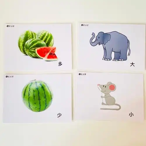 反义词实操认知卡片儿童aba康复语言发育迟缓玩具挂图