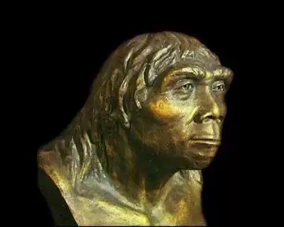 头条问答 - 北京人,山顶洞人这些原始人生活的地方为什么距离那么远?