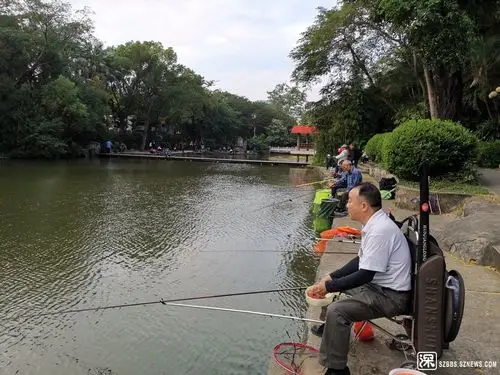 笋岗街道老年人协会组织钓鱼活动 - 笋岗街道 - 深圳论坛