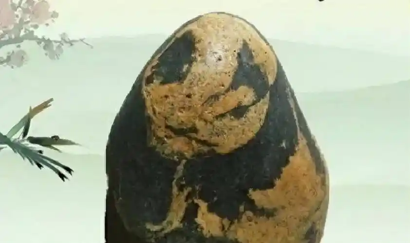 大哥捡到熊猫奇石,有人出价百万也不卖,专家估值1亿_先生_石头_儿子