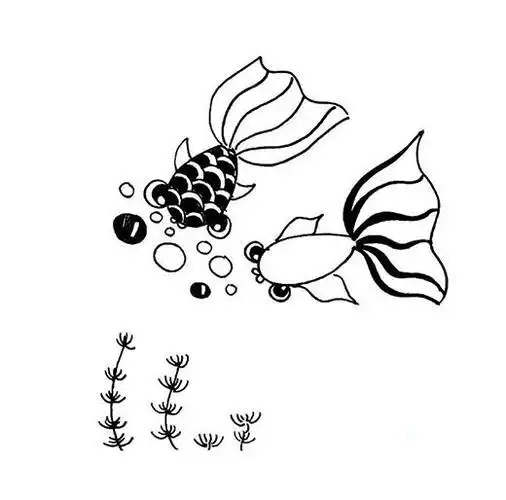 水草简笔画图片彩色金鱼简笔画大全简笔画怎么画水中的鱼儿幼儿简笔画