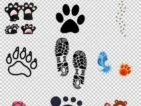 动物的脚印简笔画 动物的脚印简笔画怎么画