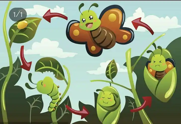 困了睡一觉,呼呼呼……睡了一觉有了变化,毛毛虫变成蝴蝶啦!
