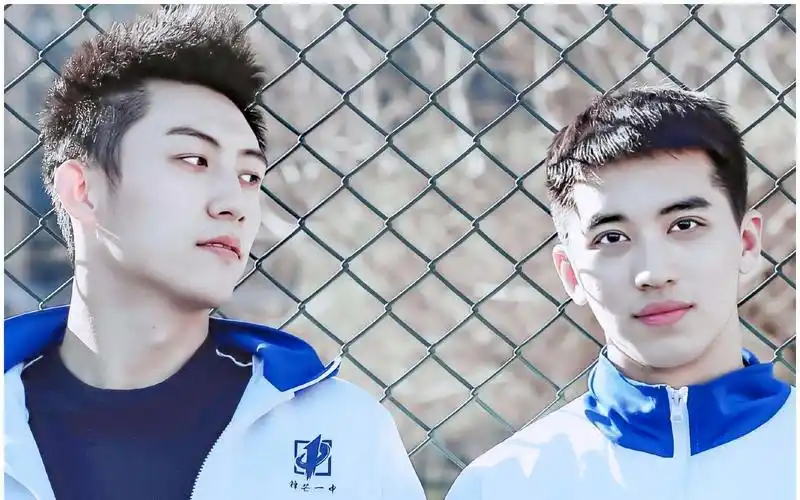 合盘许魏洲黄景瑜合盘