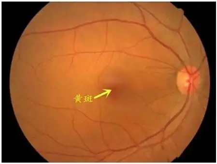 视觉训练——手眼协调_眼部疾病_眼部疾病相关疾病 - 好大夫在线